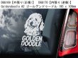 画像13: 【送料無料】カーステッカー【内張り/外張り】【注文販売】Dog on Board【プードル特集】プードル,スタンダード・プードル,スタンダードプードル,トイ・プードル,トイプードル,トイプー,コッカープー,コッカー・プー,ゴールデン・ドゥードル,ゴールデンドゥードル,ラブラドゥードル(プードルXラブラドール・レトリーバー) 