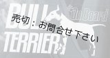 画像: 【送料無料／在庫あり かっこいい おしゃれ ステッカー ご購入後スグ発送】カーステッカー シール【外張り(外貼り)】220×100mm■ブルテリア,ブル・テリア,#8