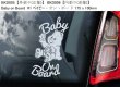 画像4: 【送料無料】カーステッカー,BKD0001【内張り/外張り】Baby,Baby on board,Kids,Kids on board,Child,Child on board,Brother,Sister,Twins,Mickey Mouse,Minnie Mouse,ミッキーマウス,ミニーマウス,ミッキー,ミニー,ベビー,ベイビー,キッズ,チャイルド,ツインズ,キッズ・オン・ボード,ベビー・オン・ボード,ベイビー・オン・ボード,チャイルド・オン・ボード,ブラザー＆シスター【注文販売】