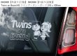 画像4: 【送料無料】カーステッカー,BKD0002【内張り/外張り】Twins,Twins on Board,PRECIOUS CARGO ON BOARD,Warning, Grandparent Driving!,Bambino On Board,Child On Board,Kids On Board,Cheeky Monkey On Board,Cheeky Monkey,Mickey Mouse,Minnie Mouse,Super Mario Bros.Sesame Street,Winnie-the-Pooh,ミッキーマウス,ミニーマウス,ミッキー,ミニー,マリオ,スーパーマリオ,セサミ・ストリート,くまのプーさん,プーさん,ツインズ,ツインズ・オン・ボード,プレシャス・カーゴ・オン・ボード,ワーニング・グランドペアレント・ドライビング,バンビーノ・オン・ボード,チャイルド・オン・ボード,チーキー・モンキー 【注文販売】