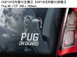 画像17: 【送料無料】カーステッカー【内張り/外張り】Dog on Board,P-【注文販売】プラッキー・クリサリク,プラシュスキー・クリサジーク,プラーガー・ラトラー,足跡,足型,オールド・ダーニッシュ・ポインター,オールド・デニッシュ・ポインター,ガンメル・ダンクス・ハンスフント,ポーリッシュ・ハンティング・ドッグ,ポリッシュ・ハンティング・ドッグ,ゴンチ・ポルスキ,プーミー,ハンガリアン・プーミー,ハンガリアン・ハーディング・テリア,パピー,子犬,仔犬,プルート,ポデンゴ・ポルトゥゲス,ポデンゴ・ポーチュギース,ポーチュギース・ポデンゴ,ポーチュギーズ・ウォーレン・ハウンド,ポーチュギース・ウォーレン・ハウンド,ポルトゥゲス・ウォーレン・ハウンド,パグ