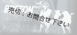 画像: 【送料無料／在庫あり かっこいい おしゃれ ステッカー ご購入後スグ発送】カーステッカー シール【外張り(外貼り)】220×100mm■ブルトン/ブリタニー・スパニエル 