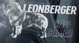 画像: 【送料無料／在庫あり かっこいい おしゃれ ステッカー ご購入後スグ発送】カーステッカー シール【外張り(外貼り)】195×100mm■レオンベルガー,(3),Leonberger