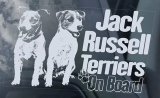 画像: ◆ジャックラッセルテリア (6)◆外張り カーステッカー カー ステッカー 170×100mm 外貼り■小型犬 イギリス Jack Russell Terrier JRT ジャック・ラッセル・テリア ジャック・ラッセル ジャックラッセル ジャックラッセルテリア ジャックラッセル・テリア ジャック ラッセル テリア