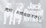 画像: 【送料無料／在庫あり かっこいい おしゃれ ステッカー ご購入後スグ発送】カーステッカー シール【外張り(外貼り)】170×100mm■ジャックラッセルテリア (6)/ジャック・ラッセル・テリア/Jack Russell Terrier