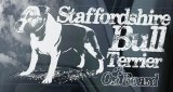 画像: 【送料無料／在庫あり かっこいい おしゃれ ステッカー ご購入後スグ発送】カーステッカー シール【外張り(外貼り)】160 x 100mm■スタッフォードシャー・ブル・テリア/スタッフォードシャー・ブルテリア/ブルテリア/Staffordshire Bull Terrier/#10