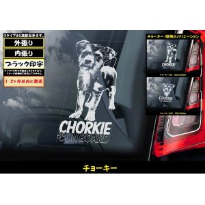 画像: 【 チョ－キー 】 スモークウインドウ に映える ホワイト 印字 カーステッカー 【図柄バリエーション】【外張り 内張り ブラック印字】【送料無料】【お取り寄せ】 ヨークシャー・テリア x チワワ 交配  小型犬 Chorkie クロスブリーディング === ヨークシャーテリア x チワワ ミックス ミックスブリード クロスブリード 犬 わんちゃん 愛犬 ペット の カー・ステッカー 外貼りスモーク ・ウインドウ に映える 白色印字