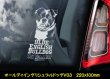 画像5: 【 オールディイングリシュブルドッグ 】 スモークウインドウ に映える ホワイト 印字 カーステッカー 【図柄バリエーション】【外張り 内張り ブラック印字】 大型犬 アメリカ Olde English Bulldog 【送料無料】【お取り寄せ】 === オールディ・イングリシュ・ブルドッグ オールド・イングリッシュ・ブルドッグ 犬 わんちゃん 愛犬 カー・ステッカー 外貼り 内貼り ウインドウ 白色印字 黒色印字 / ブラック印字は 白いボディに