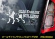 画像3: 【 オールディイングリシュブルドッグ 】 スモークウインドウ に映える ホワイト 印字 カーステッカー 【図柄バリエーション】【外張り 内張り ブラック印字】 大型犬 アメリカ Olde English Bulldog 【送料無料】【お取り寄せ】 === オールディ・イングリシュ・ブルドッグ オールド・イングリッシュ・ブルドッグ 犬 わんちゃん 愛犬 カー・ステッカー 外貼り 内貼り ウインドウ 白色印字 黒色印字 / ブラック印字は 白いボディに