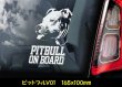 画像3: 【 ピットブル 】 スモークウインドウ に映える ホワイト 印字 カーステッカー 【図柄バリエーション】【外張り 内張り ブラック印字】 中型犬 アメリカ Pitbull Pit Bull Terrier 【送料無料】【お取り寄せ】 マスティフ === アメリカン・ピット・ブル・テリア ピット ブル テリア ブルドッグ ブリー 犬 わんちゃん 愛犬 カー・ステッカー 外貼り 内貼り ウインドウ 白色印字 黒色印字 / ブラック印字は 白いボディに
