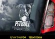 画像6: 【 ピットブル 】 スモークウインドウ に映える ホワイト 印字 カーステッカー 【図柄バリエーション】【外張り 内張り ブラック印字】 中型犬 アメリカ Pitbull Pit Bull Terrier 【送料無料】【お取り寄せ】 マスティフ === アメリカン・ピット・ブル・テリア ピット ブル テリア ブルドッグ ブリー 犬 わんちゃん 愛犬 カー・ステッカー 外貼り 内貼り ウインドウ 白色印字 黒色印字 / ブラック印字は 白いボディに