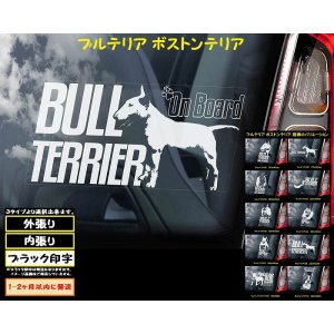 画像: 【 ブルテリア ボストンテリア 】 スモークウインドウ に映える ホワイト 印字 カーステッカー 【図柄バリエーション】【外張り 内張り ブラック印字】 中型犬 大型犬 イギリス Bull Terrier / ミニチュアブルテリア 小型犬 【送料無料】【お取り寄せ】 マスティフ === ボストン・テリア 小型犬 アメリカ Boston Terrier ブルドッグ ブリー 犬 わんちゃん 愛犬 カー・ステッカー 外貼り 内貼り ウインドウ 白色印字 黒色印字 / ブラック印字は 白いボディに