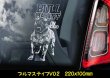 画像4: 【 ブルマスティフ 】 スモークウインドウ に映える ホワイト 印字 カーステッカー 【図柄バリエーション】【外張り 内張り ブラック印字】 大型犬 イギリス Bullmastiff 【送料無料】【お取り寄せ】 格好いい 愛犬ステッカー === ブル・マスティフ ブル マスティフ Bull Mastiff ブルドッグ ブリー 犬 わちゃん ワンちゃん カー・ステッカー 外貼り 白色印字 カー ステッカー / ブラック印字は 白いボディに