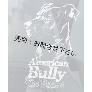 画像: 【送料無料／在庫あり かっこいい おしゃれ ステッカー ご購入後スグ発送】カーステッカー シール【外張り(外貼り)】160x100mm■アメリカン・ブリー/アメリカンブリー/American Bully #2