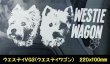 画像15: 【 ウエスティ スコッティ 】 スモークウインドウ に映える ホワイト 印字 カーステッカー 【図柄バリエーション】【外張り 内張り ブラック印字】 小型犬 ウエスティ スコッティ 【送料無料】【お取り寄せ】 ウエスト・ハイランド・ホワイト・テリア スコティッシュ・テリア === Westie Scottie Scottish スコティッシュ・ディアハウンド 犬 わんちゃん 愛犬 カー・ステッカー 外貼り 内貼り ウインドウ 白色印字 黒色印字 可愛い 愛犬ステッカー / ブラック印字は 白いボディに