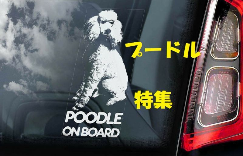 画像1: 【送料無料】カーステッカー【内張り/外張り】【注文販売】Dog on Board【プードル特集】プードル,スタンダード・プードル,スタンダードプードル,トイ・プードル,トイプードル,トイプー,コッカープー,コッカー・プー,ゴールデン・ドゥードル,ゴールデンドゥードル,ラブラドゥードル(プードルXラブラドール・レトリーバー) 