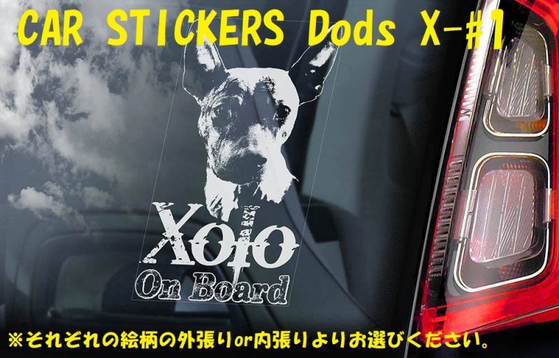 画像1: 【送料無料】カーステッカー【内張り/外張り】Dog on Board,X-【注文販売】メキシカン・ヘアレス・ドッグ,ショロ,ショロイッツクゥイントリ,ショロイツクインツレ