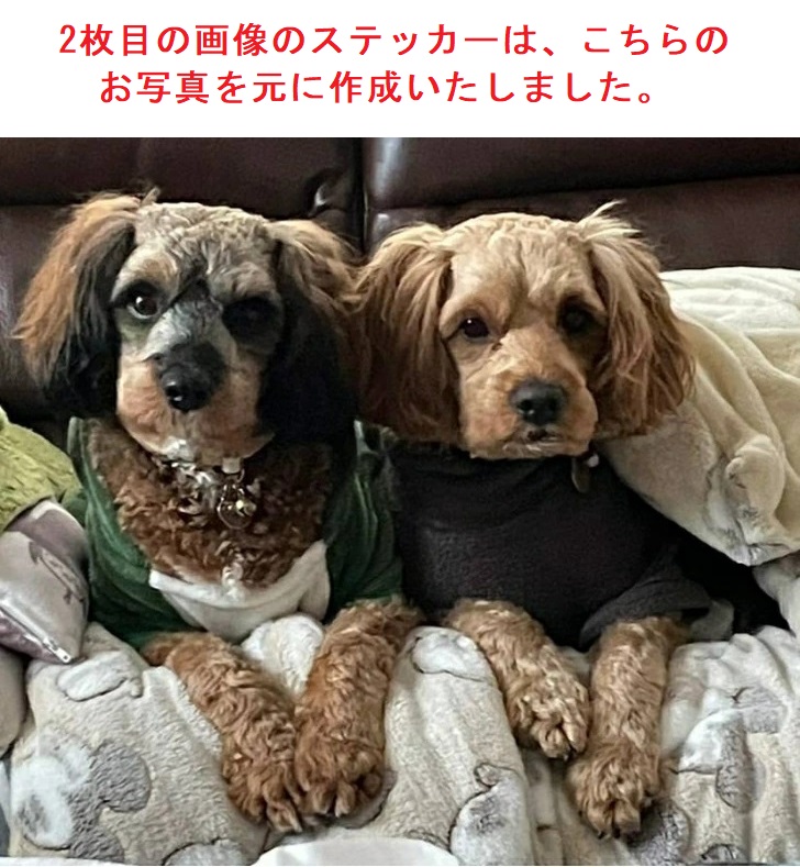 画像3: 【 お写真から作成・１枚目・デザイン料込み／わんちゃん5匹のデザイン 】 スナップ写真・スマホ画像から作れます 【 オリジナルカーステッカー 】【外張り/内張り/ブラック印字 選択可能】【文字入れ自由】【送料無料】 愛犬やペットのお写真から作成して ネーム入れ も 【１〜２ヶ月後に発送】